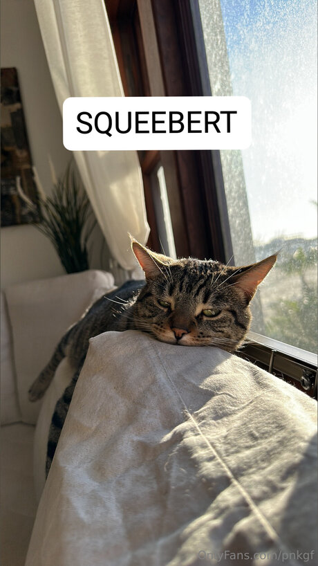 Pnkgf onlyfans model photo