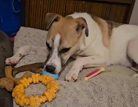 Alexablu00 onlyfans leaked nude