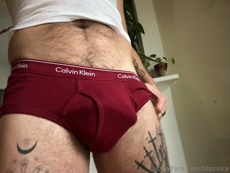 Bbprince onlyfans leams