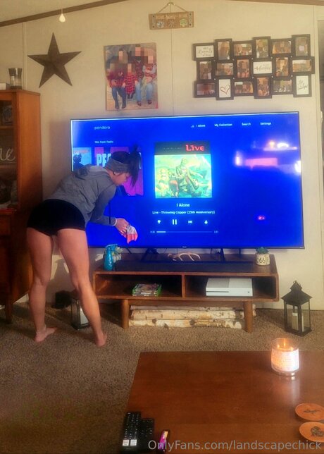 Landscapechick  view