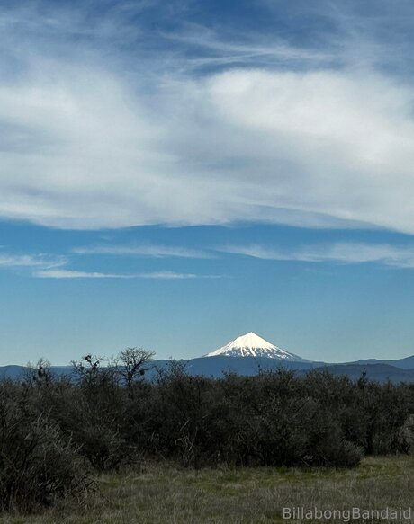 mommy onlyfans free sex snapshot