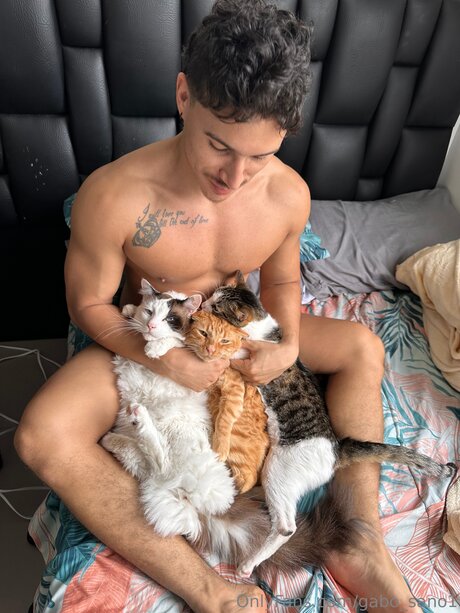 american onlyfans free print