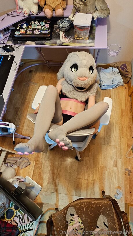 Oliverthewabbit Profile image