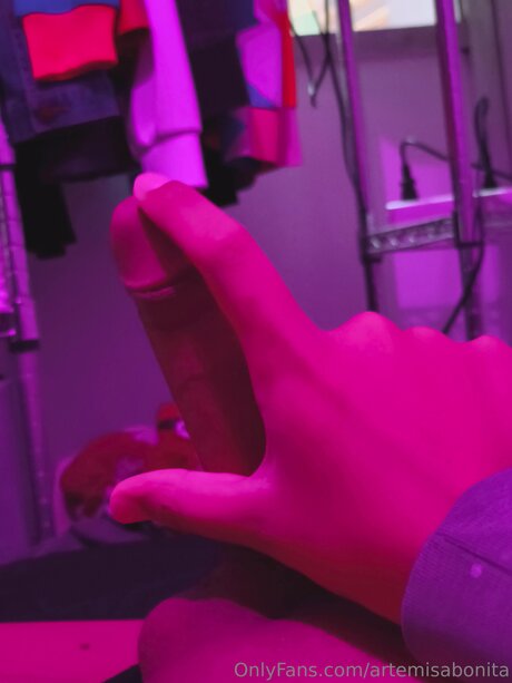 Artemisabonita naked onlyfans leak