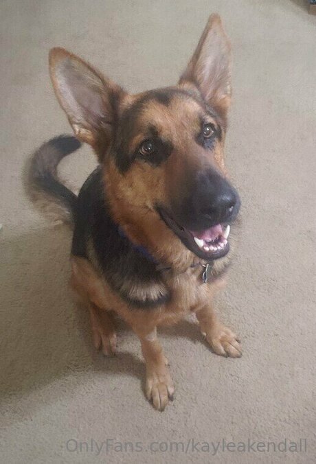 Kayleakendall onlyfans leaked nudes