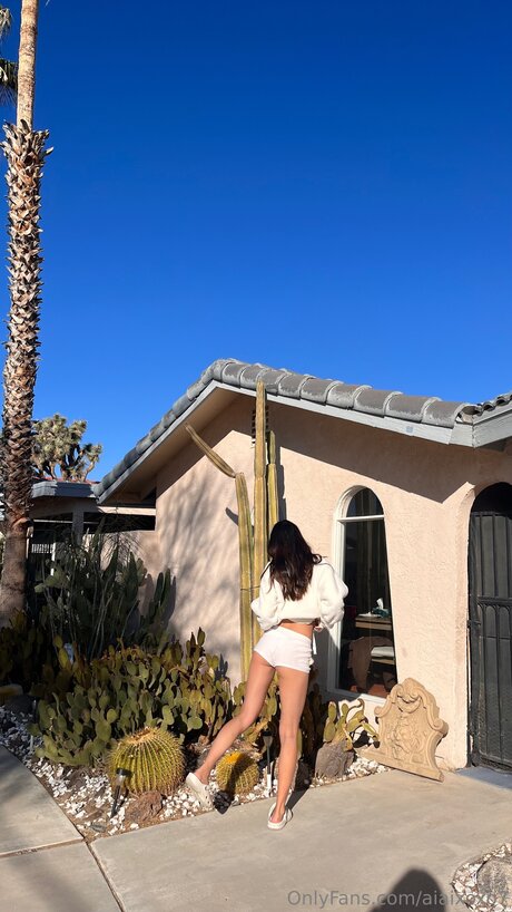 bbw dildo onlyfans best photo