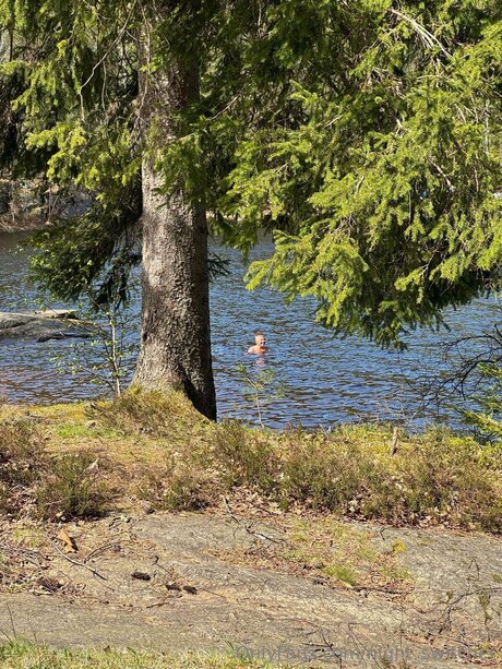 Night Switcher strip onlyfans