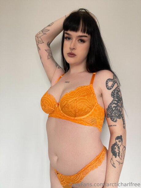 Otherarcticharl onlyfans leaked tits