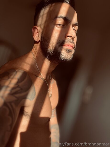 Brandonmor onlyfans nudes leaks