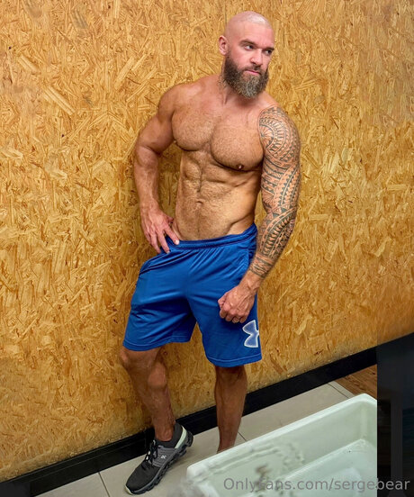 Sergebear free onlyfans