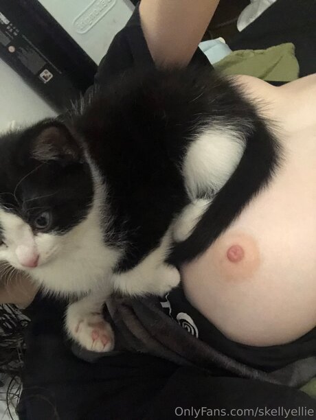 Skellyellie  snapshot