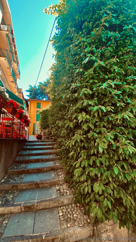 male porn star onlyfans naked illustration