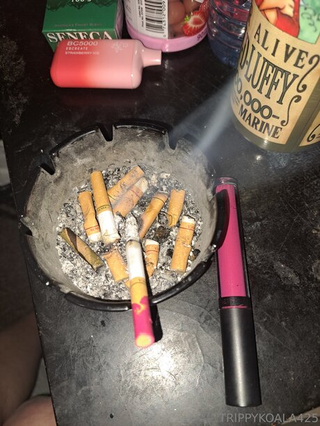 Trippykoala425 onlyfans naked leaks