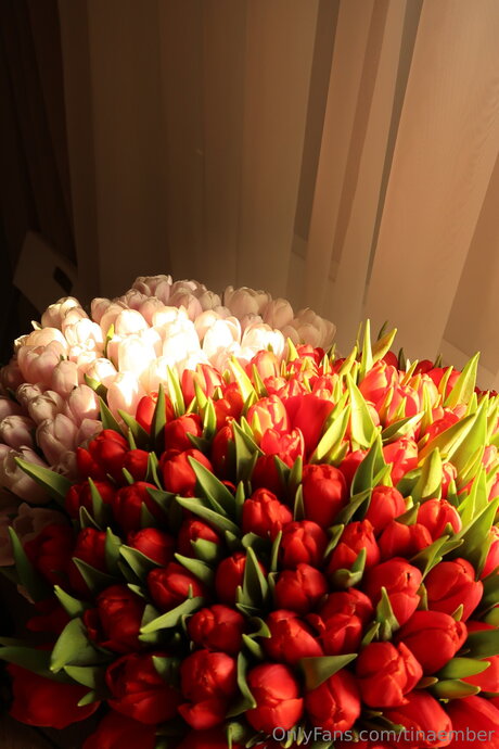 Tinaember is on onlyfans