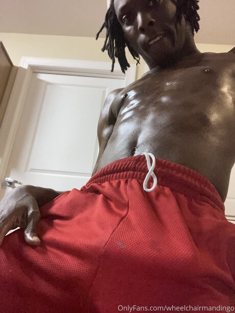 Wheelchairmandingo nsfw onlyfans
