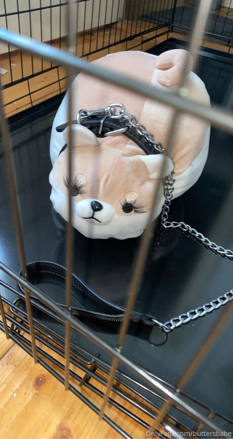 Zaykap onlyfans naked leaked