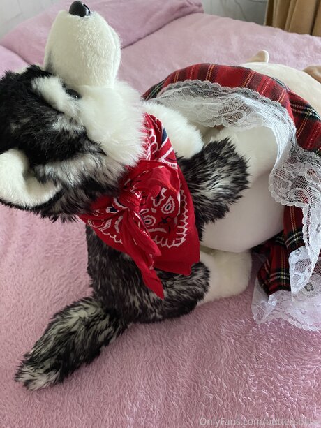 Zaykap onlyfans leaks nudes