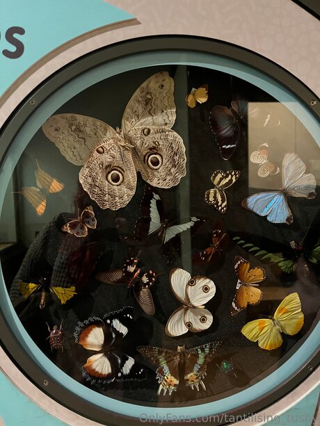 Tantilising Tushy onlyfans pictures