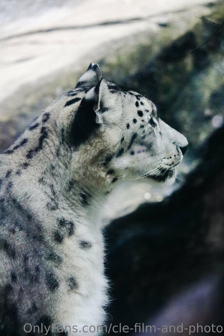 ebony twin onlyfans erotic pic