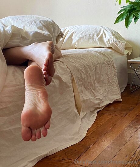 Museosole xxx onlyfans