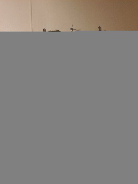 Lu Thebear69 onlyfans porn nude