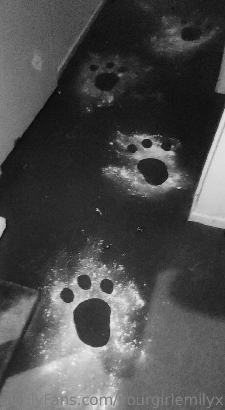 Yourgirlemilyx onlyfans content