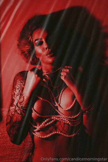 Candicemorningstar onlyfans leakd