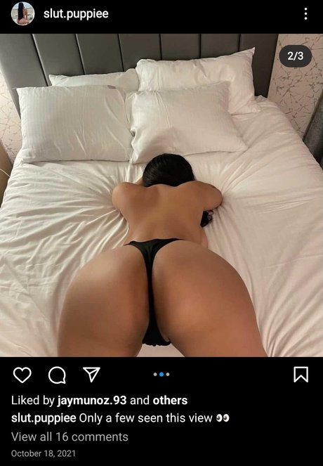 Slut Puppie onlyfans fuck