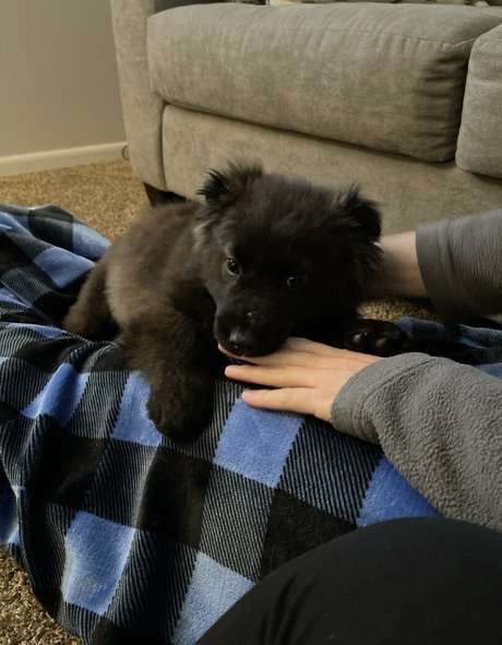 Summerreese only fans content