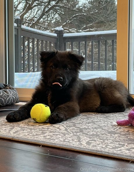 Summerreese onlyfans sex leaks