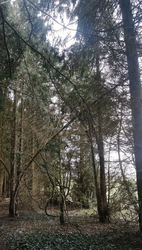 the kitty amore free onlyfans