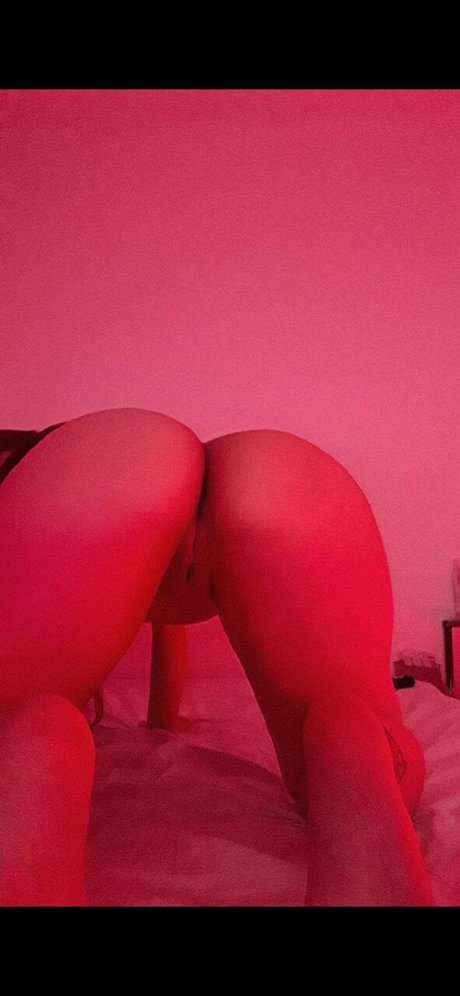 Aurora Lavender Profile image