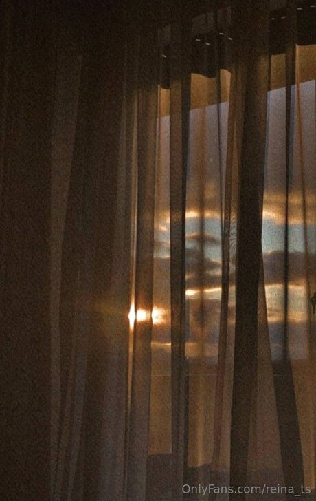 Reina Ts onlyfans naked pics