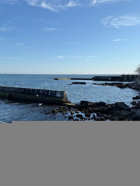 Olivi Star only fans leaks