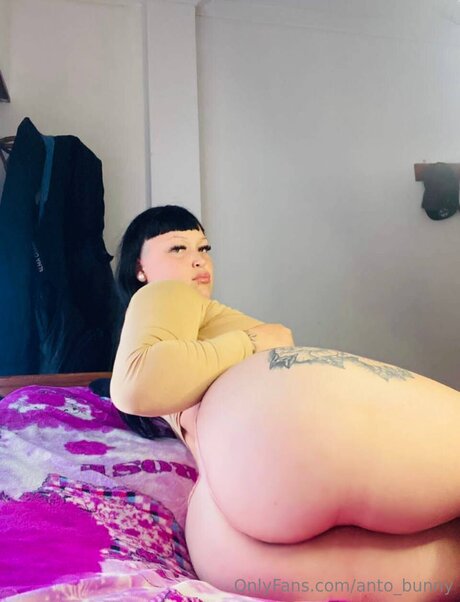 Anto Bunny onlyfans leak