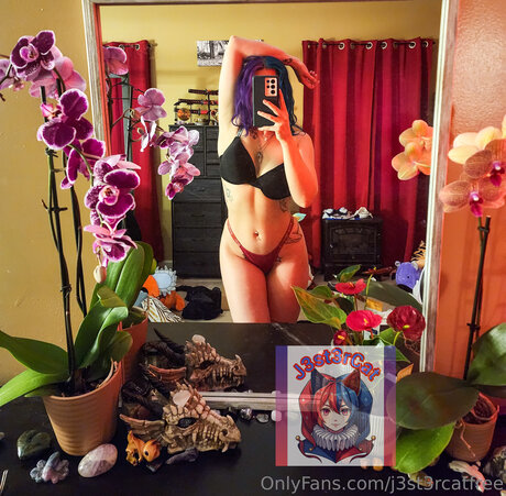 J3st3rcatfree porn leaked onlyfans