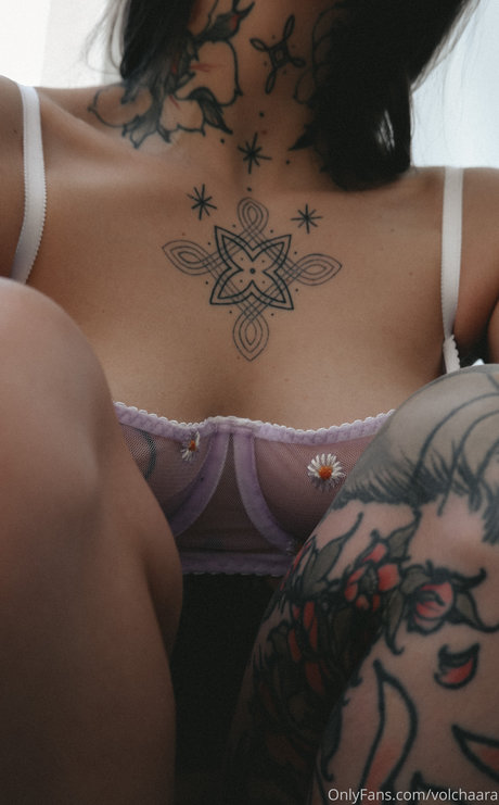 _volchara leaks only fans