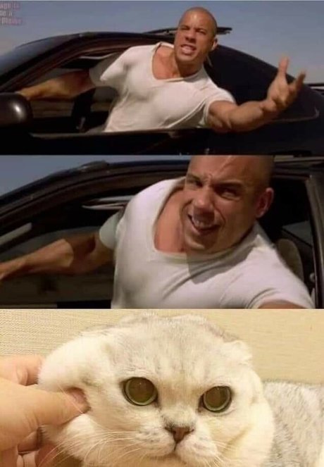 milf onlyfans exclusive slide