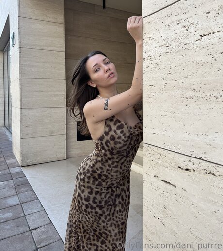 Dani Purrre onlyfans model images