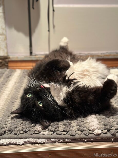 Miarosexxx onlyfans nudes