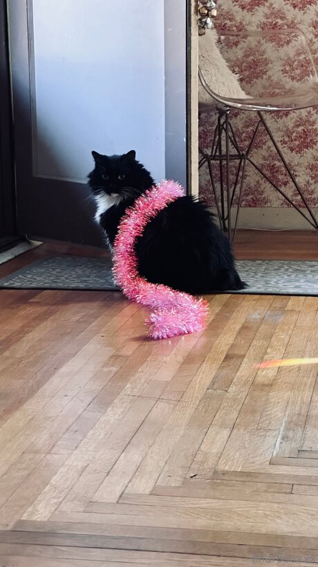 Miarosexxx onlyfans photo