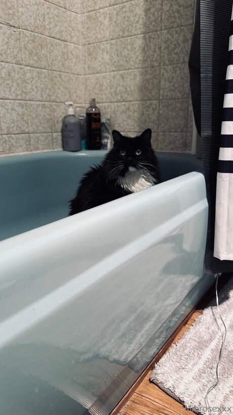 Miarosexxx onlyfans mega