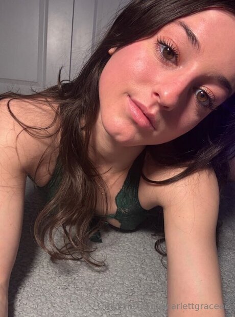 chubby kitty onlyfans sexy artwork