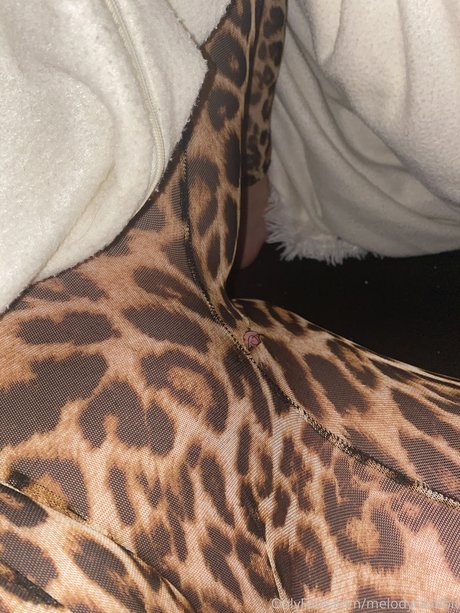 Melody Haase new onlyfans leak