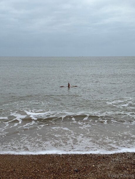 Foxyviking onlyfans leaked free