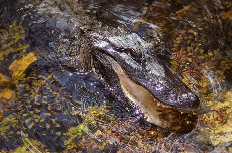 zoeykatexo2 onlyfans leak porn