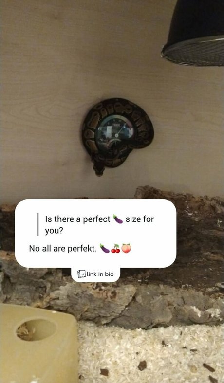 thethreeheadedsnake leaked onlyfans free