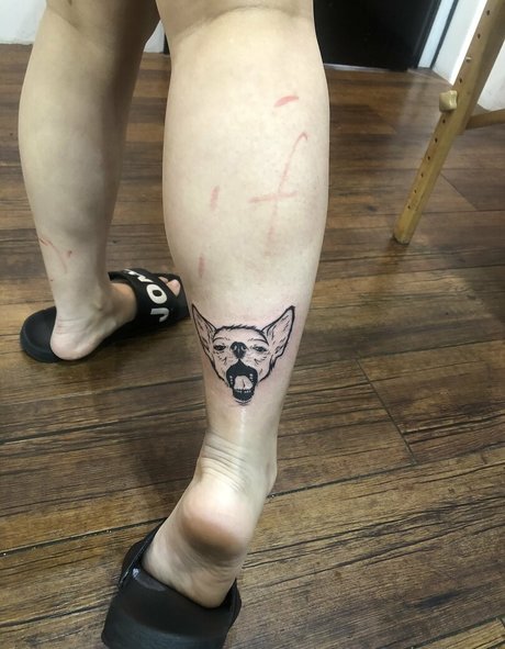 Pchan666 strip onlyfans