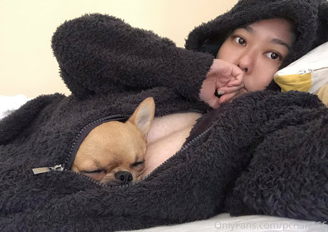 Pchan666 naked onlyfans leaked