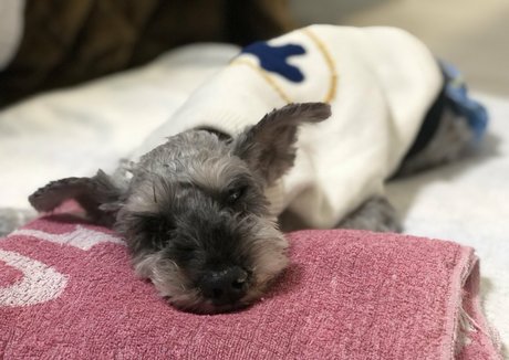 Pchan666 only fans nudes